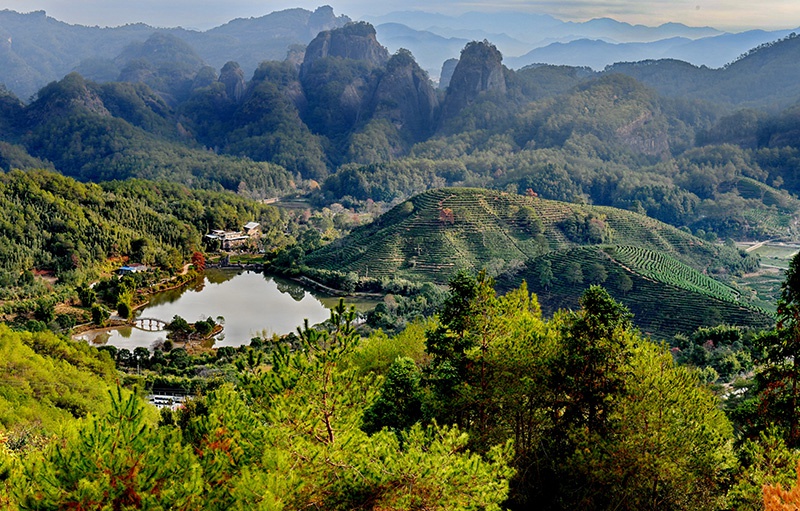 武夷山网站建设(武夷山网站建设银行)